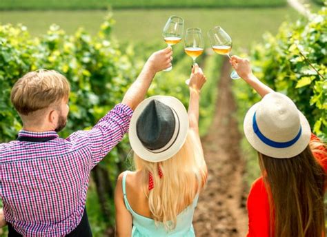 Guide to Virginia Wine Festivals 2017