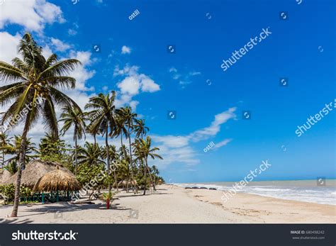 387 Colombia palomino Images, Stock Photos & Vectors | Shutterstock