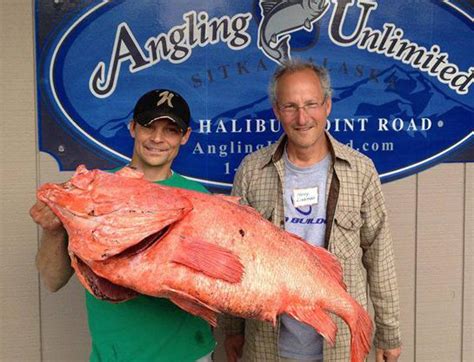 Big Fishes of the World: SHORTRAKER ROCKFISH (Sebastes borealis)