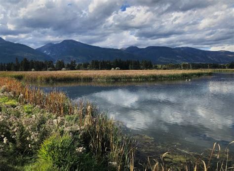 Wildlife Refuge In Montana: Lee Metcalf National Wildlife Refuge