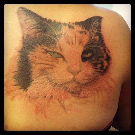 Lucky Bamboo Tattoo : | Cat tattoo, Bamboo tattoo, Calico cat tattoo