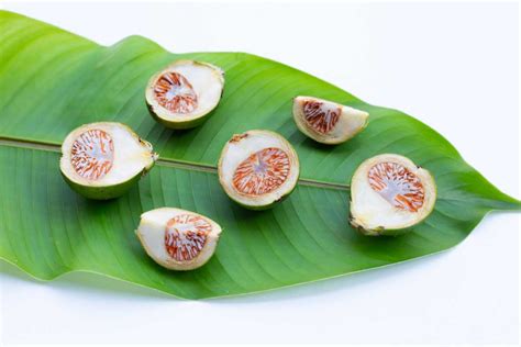 What Does Betel Nut Contains? Chemical Composition, Uses, Side Effects ...