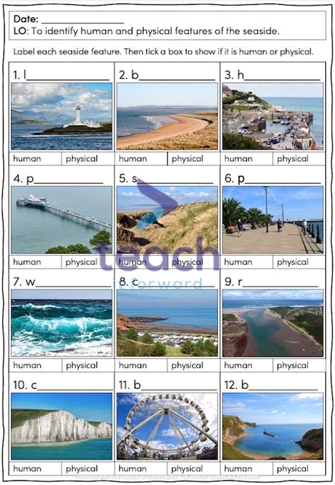 Identifying human and physical features of the seaside - KS1/KS2 | Teaching Resources