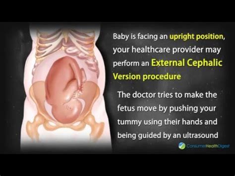 36 Weeks Pregnant: Watch the Growth of Your Baby - YouTube