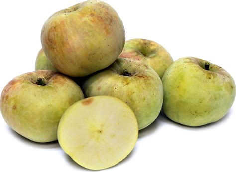 Golden Delicious Apples Information and Facts