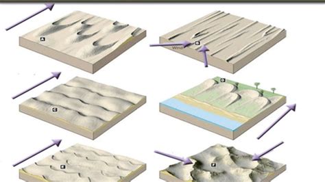 Types Of Sand Dunes