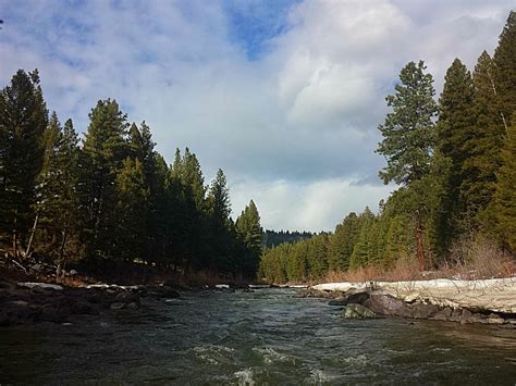 blackfoot river guides