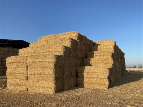 Barley Straw | Farm Tender