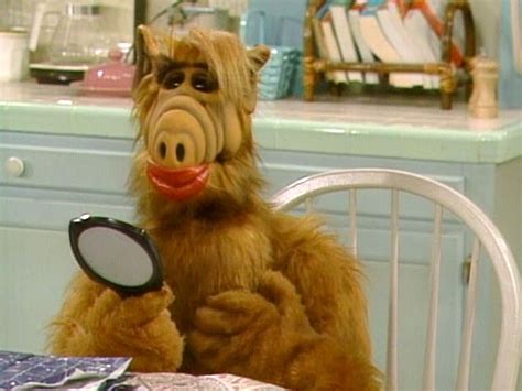 The Top 9 Episodes of ALF (a.k.a. the greatest TV show ever!) | Alf, 80 ...