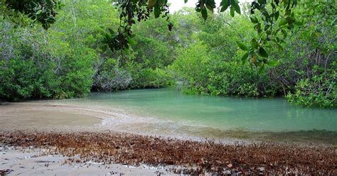 Isabela Island Wetlands walking tour | musement