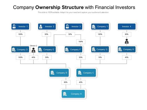 Ownership Structure Template