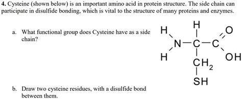 SOLVED: 4. Cysteine (shown below) is an important amino acid in protein structure. The side ...