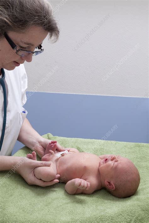 Newborn examination - Stock Image - C058/6170 - Science Photo Library