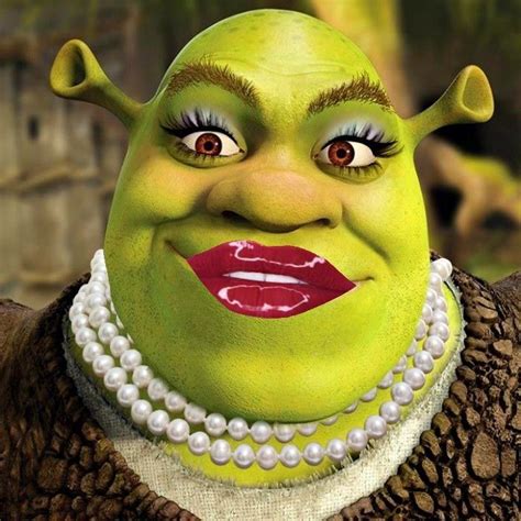 Just took a selfie, rate me,😩😘 on gawd im fine tho Shrek Funny, Shrek Memes, Wtf Funny, Crazy ...