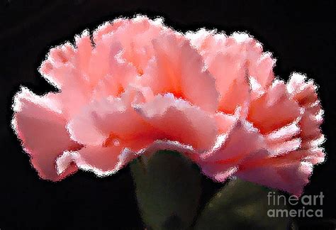 Carnation Flower Painting at PaintingValley.com | Explore collection of ...