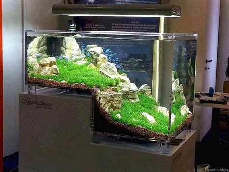 Lovelyving | Aquarium design, Aquarium, Amazing aquariums