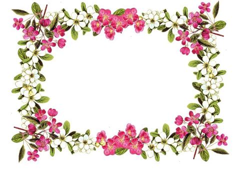 flower frame clipart - Поиск в Google | Flower frame png, Flower border clipart, Flower frame