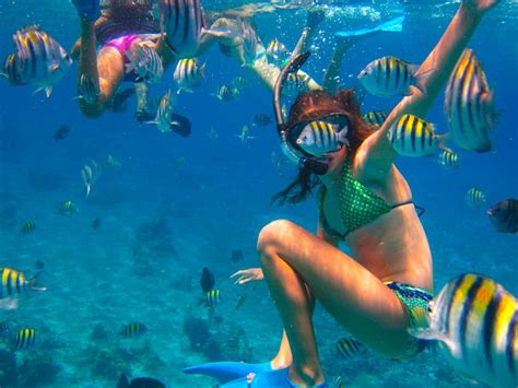 Cozumel Cruise Excursions | Cozumel Palancar Snorkeling Tour - $50us