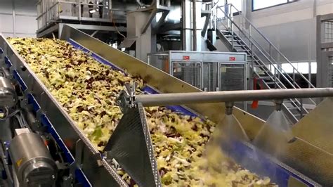 Food industry machine|Some of the most wonderful food processing industries you've never seen ...