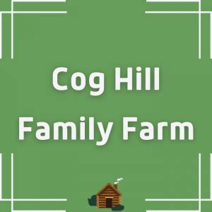 Cog Hill Family Farm: Net Worth and YouTube Income Revealed (2024) - Cabinpreneur