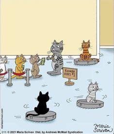 450 Cat Cartoons ideas in 2024 | cat comics, crazy cats, cat jokes