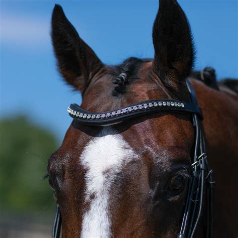 Joseph Sterling® Bling Browband for Conversion Bridle in Dressage at Schneider Saddlery