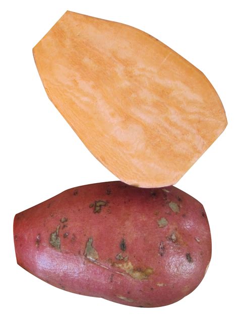 Yam PNG Image - PurePNG | Free transparent CC0 PNG Image Library