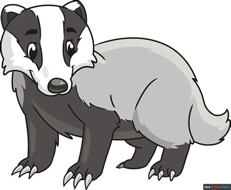 How to Draw a Badger - Really Easy Drawing Tutorial