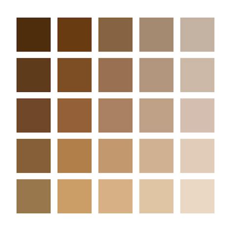 Premium Vector | Brown color palette Vector illustration EPS 10 Stock image