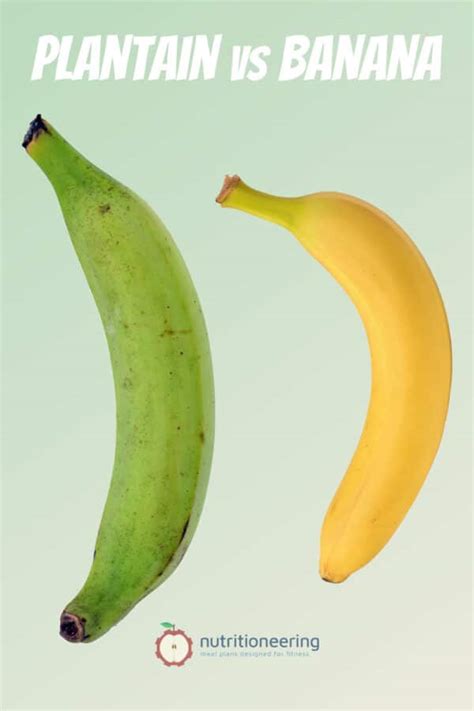 Plantain vs Banana Nutrition: Which Is Healthier?