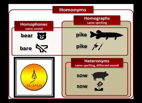 List of 150 Examples of Homophones - QuranMualim - Quran Mualim