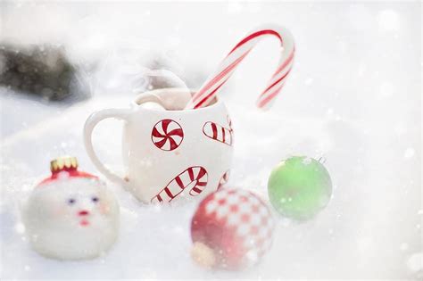 pine cones, snow, winter, coffee, tea, cinnamon, christmas, holiday ...