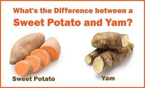 What’s the Difference Between Sweet Potatoes and Yams? – Grocery Store ...