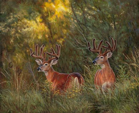 Deer Painting On Canvas at PaintingValley.com | Explore collection of Deer Painting On Canvas