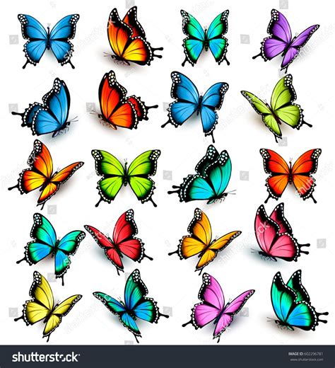 Colorful Butterfly Tattoo, Butterfly Tattoo Designs, Butterfly Drawing, Butterfly Pictures ...