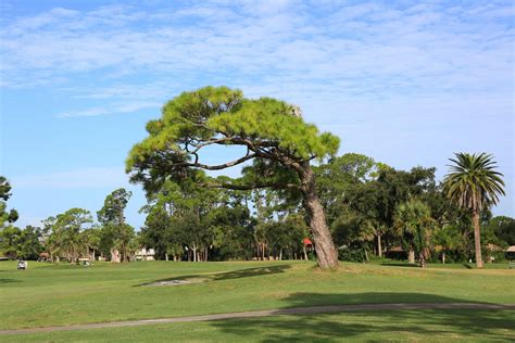 Course Details - New Smyrna Golf Club