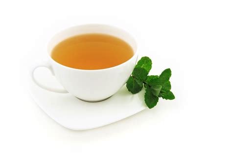 Mint Tea Free Stock Photo - Public Domain Pictures