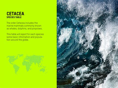 Cetacea Table on Behance