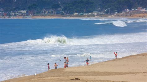 Visit Half Moon Bay: Best of Half Moon Bay Tourism | Expedia Travel Guide