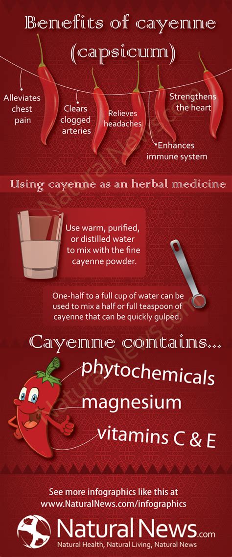 Benefits of Cayenne - NaturalNews.com