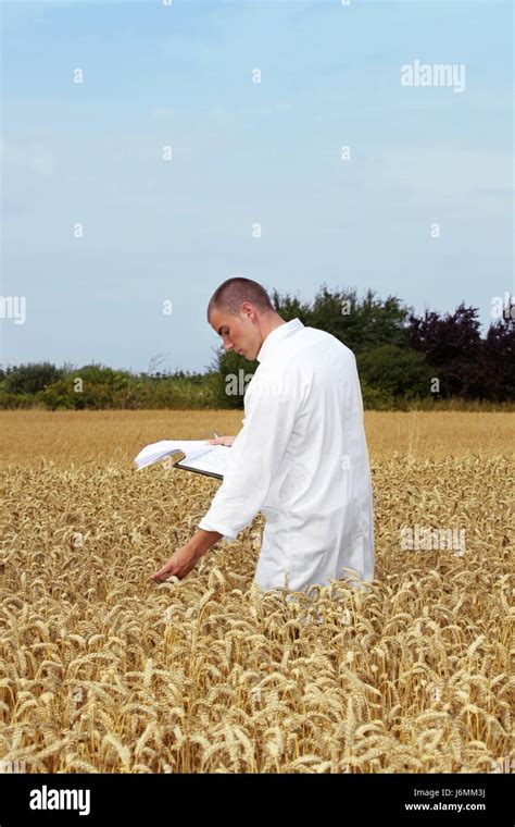 scientists in the field Stock Photo - Alamy