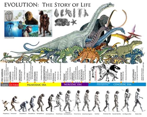 TIL that in the history of the Earth, we’re closer to Tyrannosaurus Rex than T. Rex is to the ...