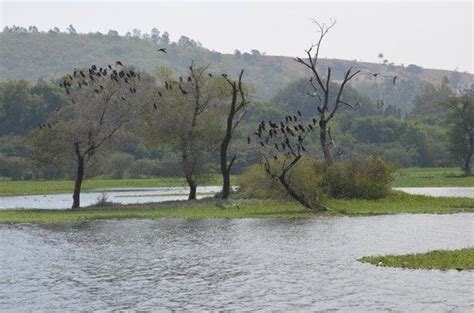 Pashan Lake - Alchetron, The Free Social Encyclopedia