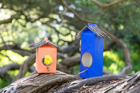 Milk-Carton Birdhouses - Sunbasket