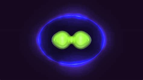 Cell division animation - YouTube