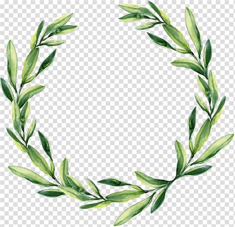 Garland clipart greenery, Garland greenery Transparent FREE for ...