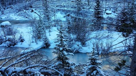 Stunning winter scenery while hiking in the Beartooth Wilderness in Southern Montana | Winter ...