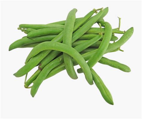 Free Green Image Vector - Beans Png , Free Transparent Clipart - ClipartKey