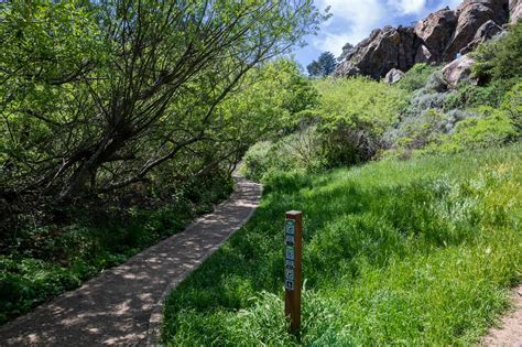 Glen Canyon Park- A Virtual Stroll – Harvey Milk Photo Center