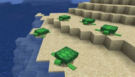 How to Hatch Turtle Eggs in Minecraft | TechaLook